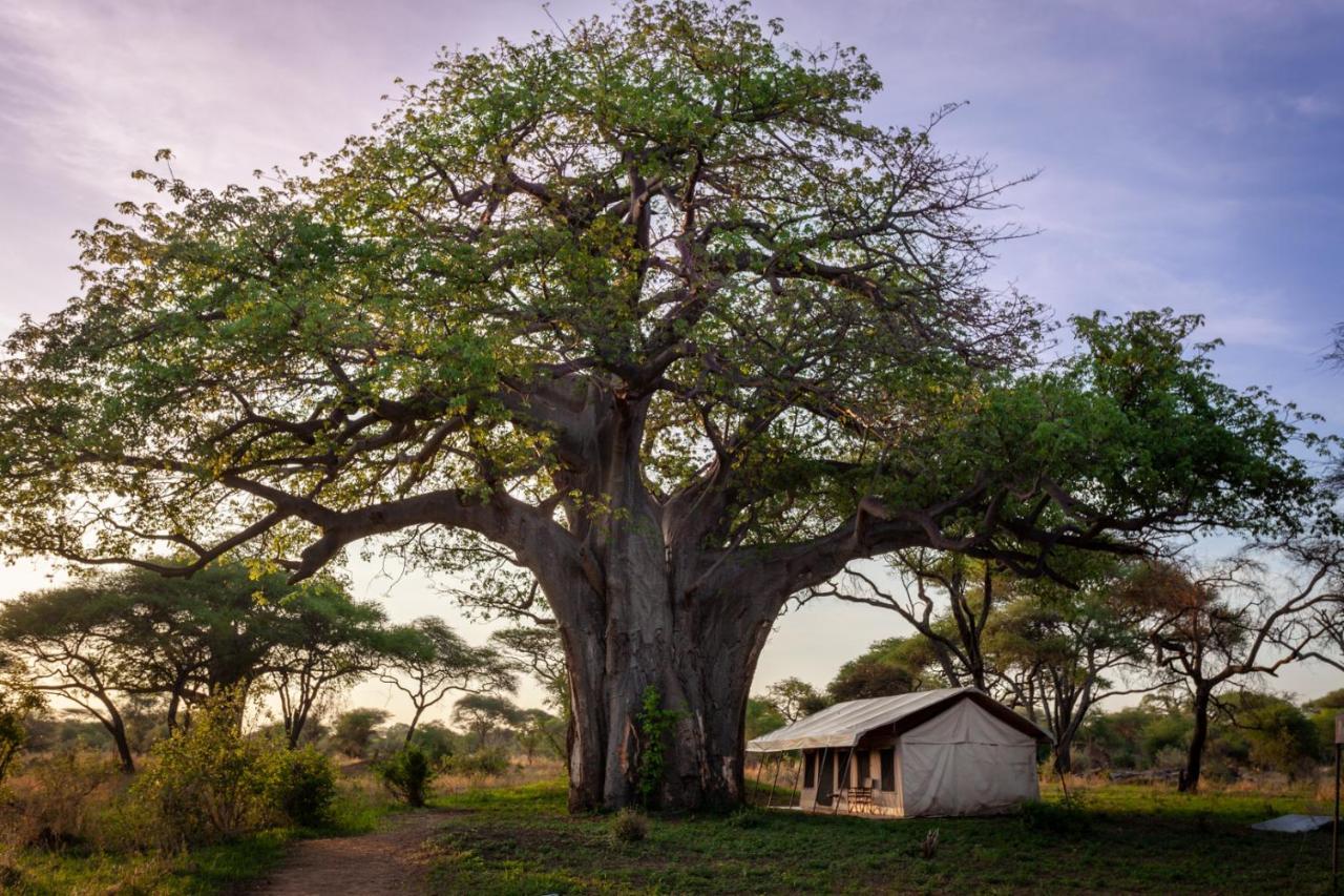 Baobab Tented Camp Kwa Kuchinia المظهر الخارجي الصورة
