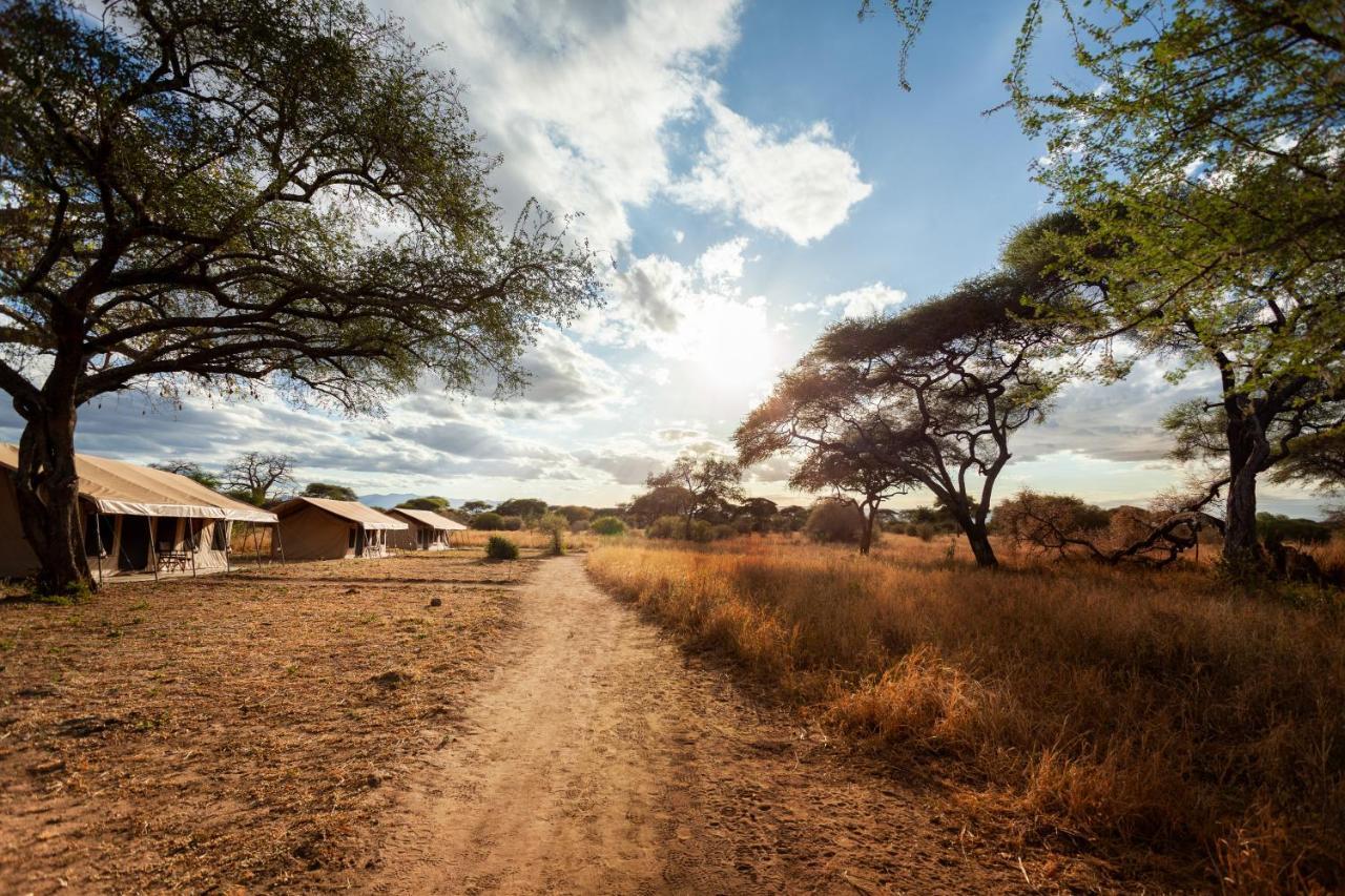 Baobab Tented Camp Kwa Kuchinia المظهر الخارجي الصورة