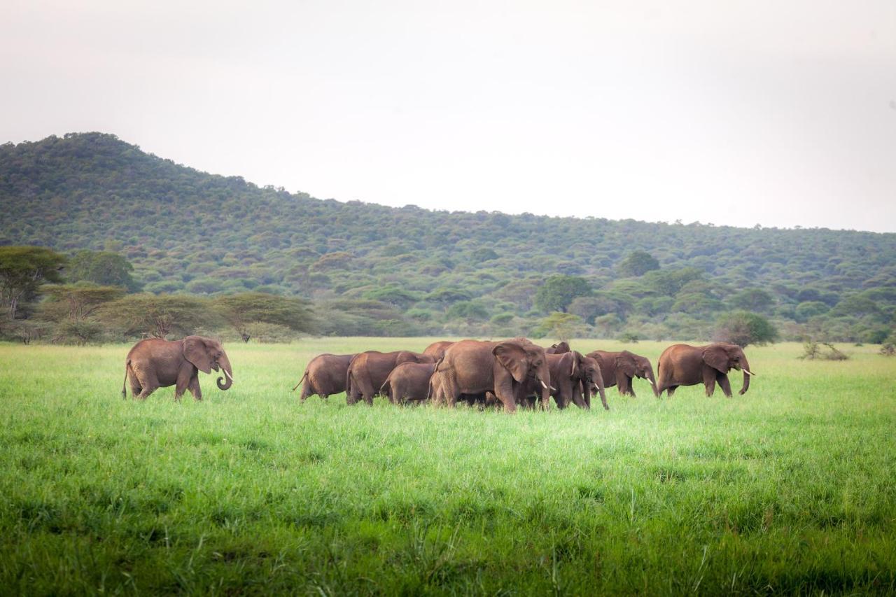 Baobab Tented Camp Kwa Kuchinia المظهر الخارجي الصورة