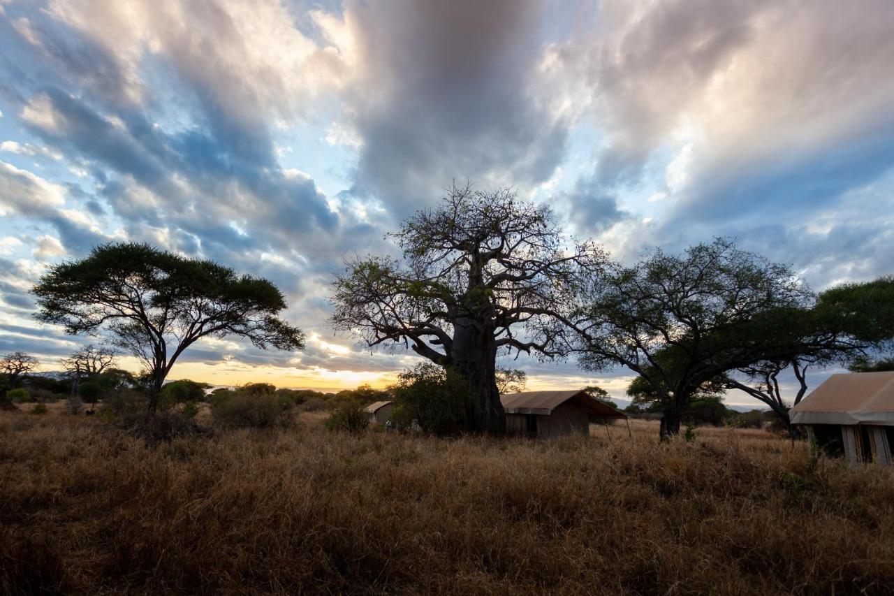 Baobab Tented Camp Kwa Kuchinia المظهر الخارجي الصورة