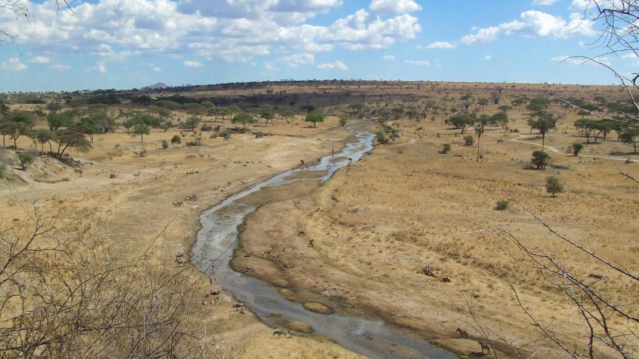 Baobab Tented Camp Kwa Kuchinia المظهر الخارجي الصورة